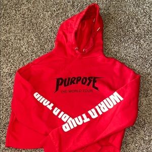 cropped Justin Bieber world tour hoodie